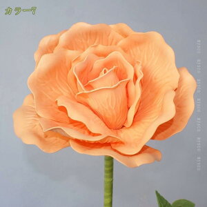 780~OFFN[| [Y tFCNt[  ^ 傫߃TCY { Wp  X rO Kip ͗lւ CeA nhCh ȒP ͂Ȃ R[i[ 