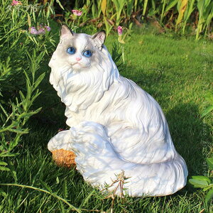 1000~OFFN[| K[fI[ig u  hbO v[g  O fR[V  K[fjOG i K[fIuWF 킢     kO