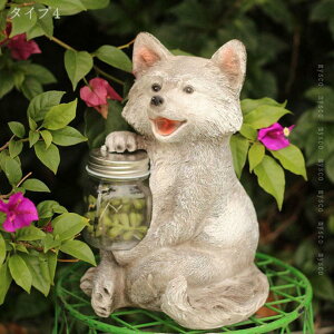 300~OFFN[| K[fCg \[[Cg O h  ZT[Cg K[fjOG CeA u 킢 \[[[d   O AEghA fR[V 