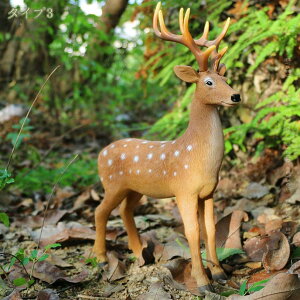 LxRx9 K[fjOG K[fjO u  AeB[N i`  fBA  Aj} K[f G A IuWF   CeA ̒u I[ig fBXv