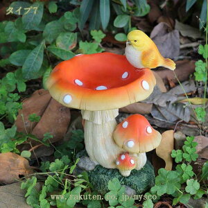 1000~OFFN[| ̂u tBMA LmR̎ʐ^ LmR̒ K[fjOu kG CeAG AeB[N  킢 {   