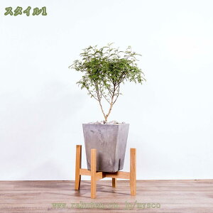 300~OFFN[| t[X^h ؐ EbhX^h  X^h v^[X^h ϗtA Jo[ ԑ  u |bg  i`  oRj[  Vv k 