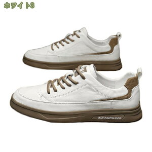 Xm[u[c Y Xm[V[Y h C ~p gbLOV[Y oR C {A N YXm[u[c JWAV[Y RC nCJbg AEghA h y ₷ 