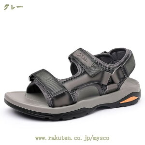 X|[cT_ T_ Y xN XgbvT_ JWAT_ ʋC y JWAV[Y  ][g W[ s C AEghA Xb| _炩 ʋC 