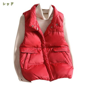 300~OFFN[| fB[X H~ _ExXg y V[gxXg EgCg ̌^Jo[ m[X[u n ʋ ʊw p[eB[ V[g AE^[ h  g  