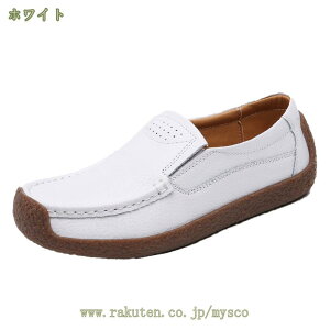 500~OFFN[| [t@[ fB[X EH[LOV[Y fB[X JV hCrOV[Y  y E₷ JWA  EhgD _炩 TChSA 