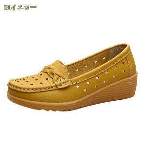 300~OFFN[| JV fB[X tbgV[Y [t@[ hCrOV[Y EH[LO EFbW\[ ʋ RtH[g JWA _炩 ʋC Xb| ɂ