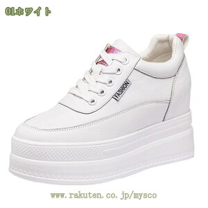 Xj[J[ fB[X Cq[Xj[J[ EH[LOV[Y r V[NbgV[Y y [XAbv ɂ gAbv s C IV Vv  E