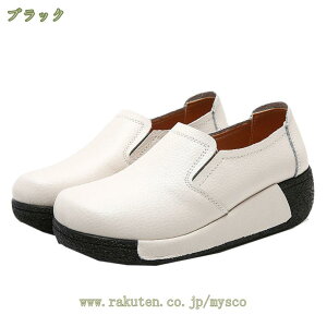 777~OFFN[| Xb| fB[X Xj[J[ ₷ ₷ y ؂ JWA RȂ RtH[gV[Y EH[LOV[Y ~ EhgD _炩 