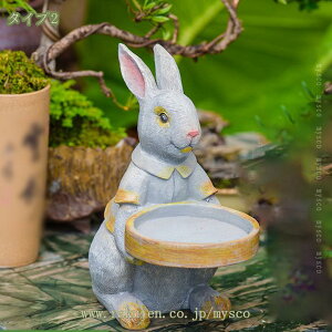 K[fjOu |W  t[|bg v^[ z[K[f 傫 u AeB[N Aj}IuWF T{e  Ԓd [g[̑ ̕i \Iu