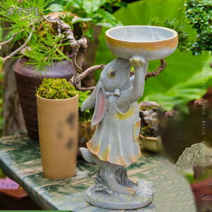 1000~OFFN[| K[fjOu |W  t[|bg v^[ z[K[f 傫 u AeB[N Aj}IuWF T{e  Ԓd [g[̑ 