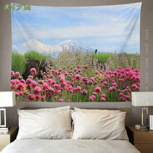 777~OFFN[| i ^yXg[  唻 傫 G C iF ʐ^ i i` /X Ǐ  @\ z ͋C]  CeA Ԍ  t w