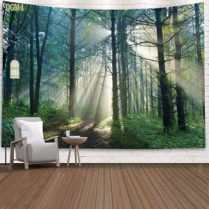 ^yXg[ Ǌ| i 댶R ؘR̐X Bep wi Ԏd؂J[e  CeAG  |X^[ @\Ǐ ₨X̑ Vjv[