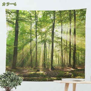 300~OFFN[| ^yXg[ CeA ^yXg[ r[`  ܂G C AJ ꂢ ₩   傫 唻 CX^f ObY e[N wi t@ubN