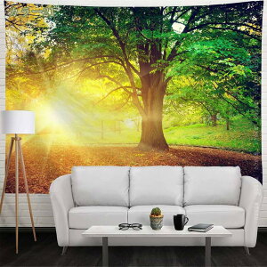 300~OFFN[| X̑ ^yXg[ Ri ̗  Ǌ| z CeA EH[A[g z|X^[ @\  ǂ̏ X X Mtg V bNX 