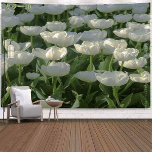 500~OFFN[| ^yXg[ 唻 t[ Ǌ| ԕǊ| R |X^[ Ԏd؂ z[fR[V ͋C] K[[n  | J[e tHgu[X o^C