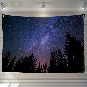 300~OFFN[|  Ǐ ^yXg[  ͋C] Ԏd؂  J[e O\ n Ȗ rO[ |GXe xbh[ A[g _ z|X^