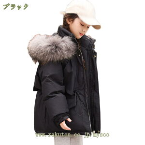 2000~OFFN[| q _EWPbg j̎q ̎q _ER[g LbY t[h O h WjA ~h OR[g ۉ V AE^[ ʊw ʉ  jp q