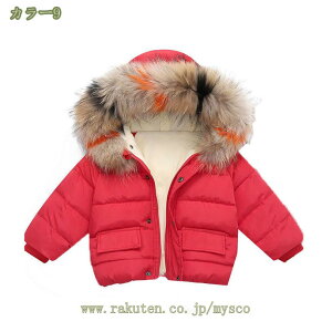 1000~OFFN[| ̎q _ER[g ȃR[g _EWPbg h~ qR[g  OR[g q AE^[ g R[g R[g w WjA R[g t[ht 