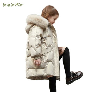 1000~OFFN[| q _ER[g LbY t[ht OAE^[ ~  _EWPbg OJ WbvAbv Wp[ ̎q j̎q Ԃ y n R[g xr[ 