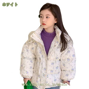 q R[g LbY ȃWPbg AE^[ t[ht q j̎q ̎q n R[g {[CY K[Y   gbvX h WjA AE^[ WjA H ~ ʉ