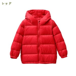 q R[g ̎q K[Y _ER[g LbY j̎q O AE^[Wp[ xr[ n 킢  _EWPbg ۉ h h g w ʉ ʊw VN 