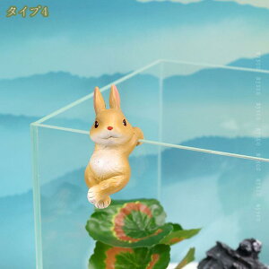 1000~OFFN[| CeA z[CeA k G 㒤fXN   ̑蕨 i  L    ͋Cup IVȒu 