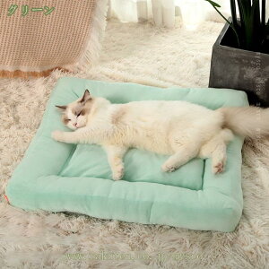 L xbh ybgxbh  xbh L NbV Lxbh Lpxbh pxbh ᔽ ėp ^pxbh ӂӂ zʋC ӂӂ ʔNgp ybg\t@[ 􂦂 P[Wp ^