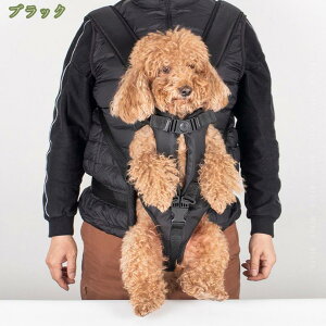  L ybgL[ Ђybgp L[obO obO ybgp o֗ ^ ^ ԂЂ LR L L[obO LobO 킢 ybg