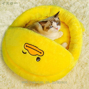 500~OFFN[| ybgxbh  L h[^ ybgnEX 2way ybg\t@[ h[^xbh  ybgNbV ėp}bg Lp pnEX NbV Q O\ 􂦂 