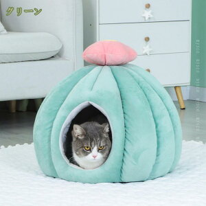 300~OFFN[| Lxbh LpnEX ybgxbh p Lp ^ ybgnEX h[^ ~ t ӂӂ _炩 ۉ g  ybgNbV ybg}bg ~ L 