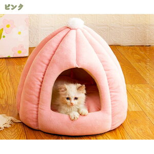 500~OFFN[| ybgxbh  L xbh h[^ Lxbh ybgpxbh ybgxbh ~  킢  xbh ObY ObY   ˂ lR  L