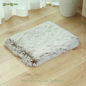 ybgxbh GARp IV Lxbh  xbh NbV ``3D ӂӂ g ʔN 􂦂 gΉɂn ybgNbV Lpxbh lR  ybg\t