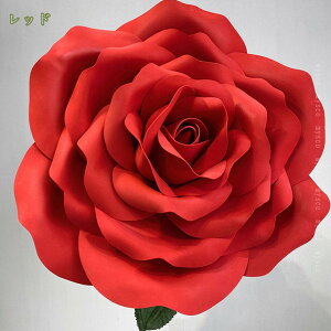 1000~OFFN[| tFCNt[  W{ Cxg  fR[V X܃fBXvC Be wi  EFfBO  p ^  y[p[ A[gt