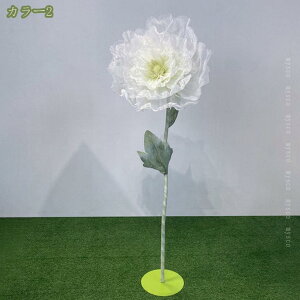 1000~OFFN[| |s[ ^  tFCNt[  EFfBO A[gt[  t[AWg  p[eB[ tHgX|bg  X^[zO 