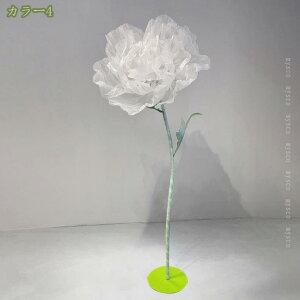 1000~OFFN[| |s[ ^  tFCNt[  EFfBO A[gt[  t[AWg  p[eB[ tHgX|bg  X^[zO 