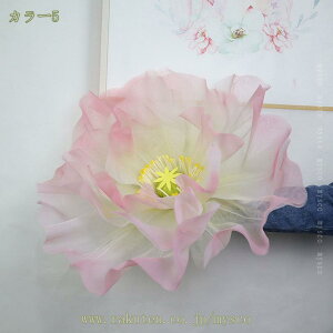 777~OFFN[| |s[ A[gt[  { fBXvC  Xܑ Ǝ{ V[EBhE Cxg ݉c tHgX|bg   Of[V 