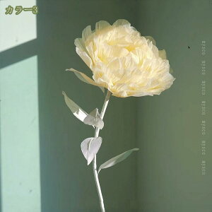 1000~OFFN[|  䉖 ^TCY VNt[ sNF Of[V Ԃт̗̊ A[gt[ A {̂悤 Bewi X܃fBXvC A[gt[ tHgu[