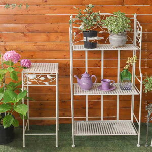 ԑ AeB[N O  ACA t[X^h 3i v^[X^h u AؔX^h Vv v^[    K[fbN K[fjO x_ ~