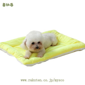 300~OFFN[| ybgpxbh}bg  ^ L ETM ~p ybgpѕz tt uPbg _炩 􂦂 NbV ӂӂ ybg\tg}bg Lybgpxbh