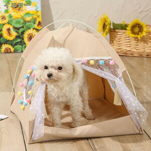 500~OFFN[| ybgeg  L O ybgxbh ybgnEX eg^ NbVt ܂肽 _炩 ʋC 傫 \ ėp ~ 킢 ybgpi 