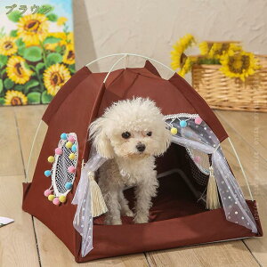 500~OFFN[| ybgeg  L O ybgxbh ybgnEX eg^ NbVt ܂肽 _炩 ʋC 傫 \ ėp ~ 킢 ybgpi 