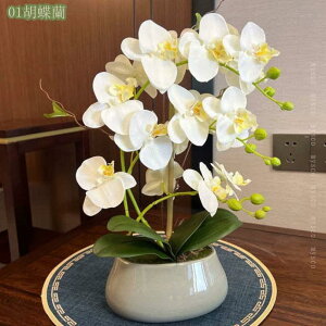 777~OFFN[|  tFCNt[ Ӓ ԑ A VÓT rO  ItBX   hCt[ tFCNu[P CeA rO[EցEJ