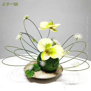 2000~OFFN[|  CeA  ̂юѕ ԏ A[gt[ AW CeA tFCNt[ aAW ԕrp AWg q   er fBX