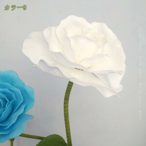 1000~OFFN[| tFCNt[ ^ o [Y W{ A[gt[ fR[V ԑ  ^g [Ybh sN p[v u[ IW VpJ[ 