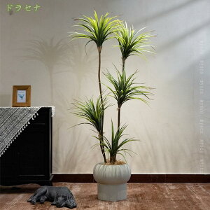 2000~OFFN[| tFCNO[ Mъϗt A lHϗtA CeAO[ lHt ^Ηt { ϗt ͂Ȃ sv CeA EFfBO x_ 