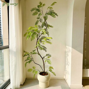 ϗtA tFCNO[ lHϗtA ^ A 180cm  v[g CeA p Bep   sv eiXȒP  O Lb` ItBX 