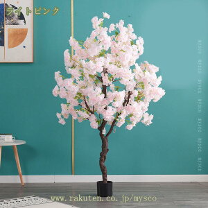 300~OFFN[| ̖  tFCNO[ ^ lHϗtA tFCNc[ lH i` A j ItBX rO CeA A 傫  킢 Ύ 