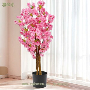 tFCNO[ sN  lHϗtA sv Q쏜sv  ƒ 悯oRj[  Iȑ z̃MtgɍœK  ^ t G߂̏ 蕨  ItB