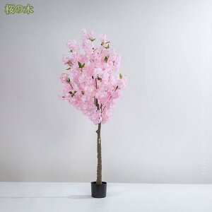 1000~OFFN[| ϗtA tFCN sN lHϗtA ϗt ^  O[ tFCNO[ p  ֐ rO xbh[ JtF  ItBX z[ fR